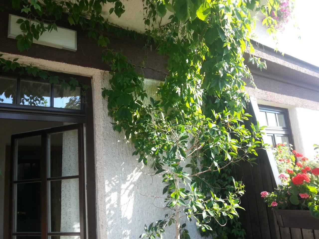 Antik Hotel Sofia Litomyšl المظهر الخارجي الصورة