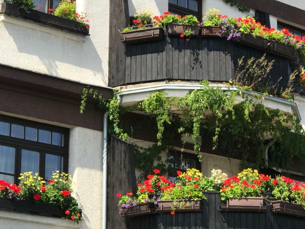 Antik Hotel Sofia Litomyšl المظهر الخارجي الصورة